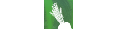 Risk, Compliance & Governance Manager Logo