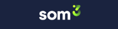 1st Line Support Analyst Logo